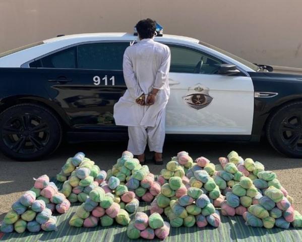 سبق نيوز