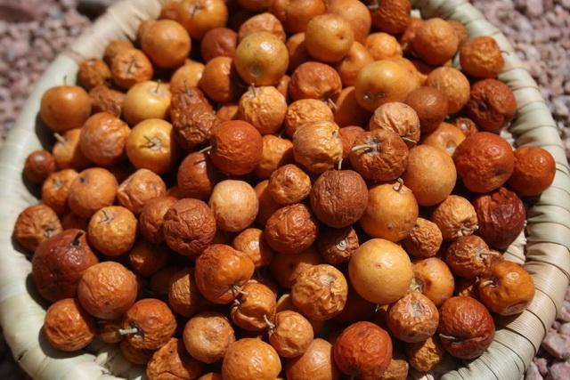 سبق نيوز