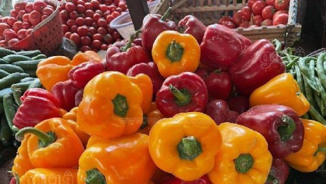 اسعار الخضروات اليوم
