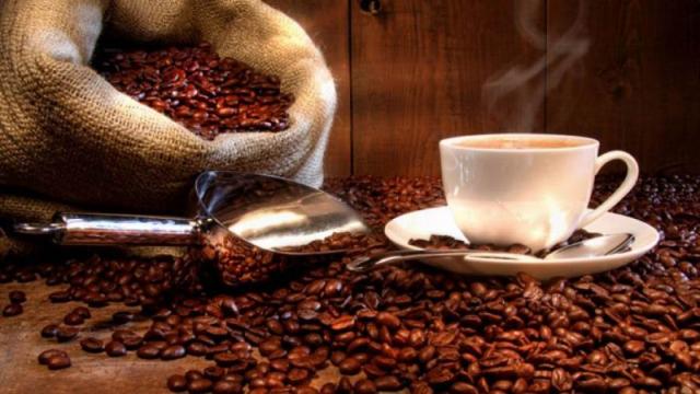 سبق نيوز