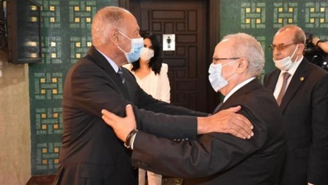 ابوالغيط والعمامرة