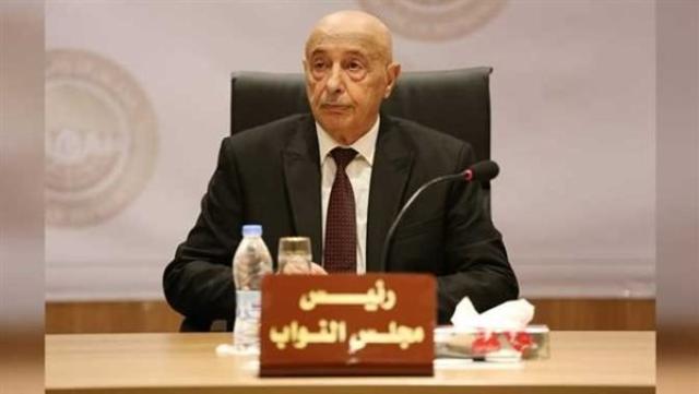 عقيلة صالح