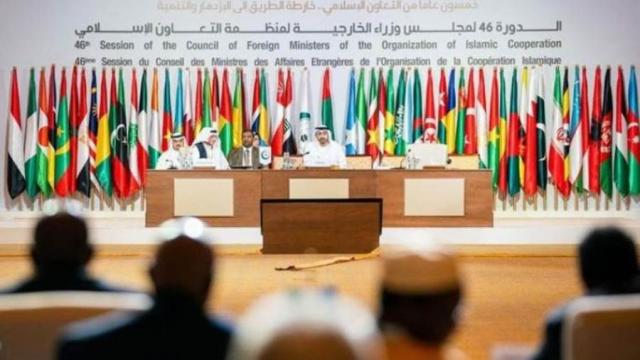 سبق نيوز