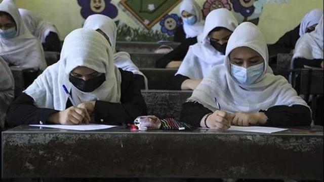 سبق نيوز