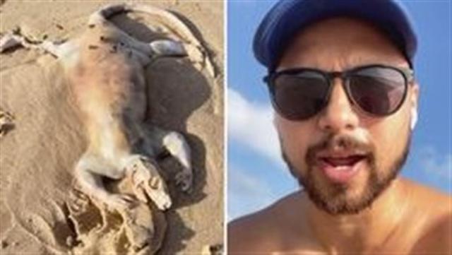سبق نيوز