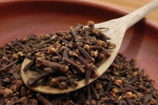 سبق نيوز