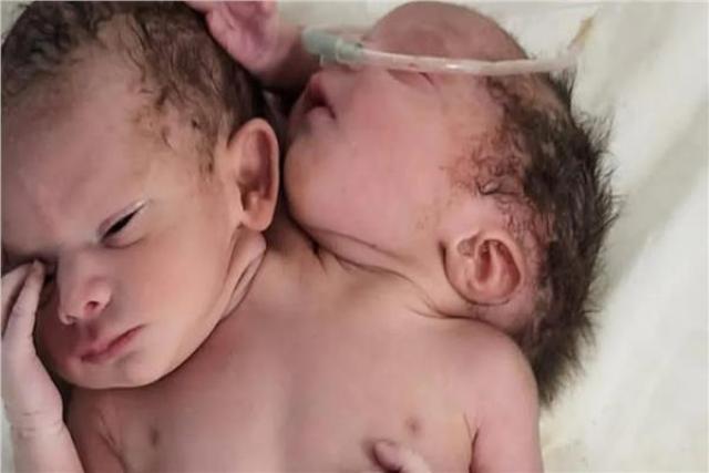 صورة موضوعية