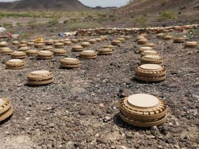 سبق نيوز