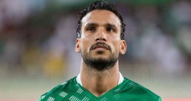 شوقى السعيد
