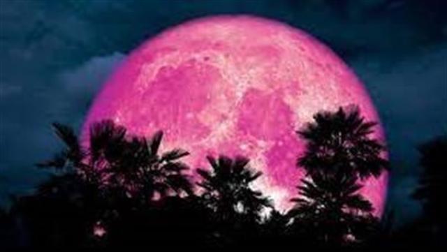 سبق نيوز