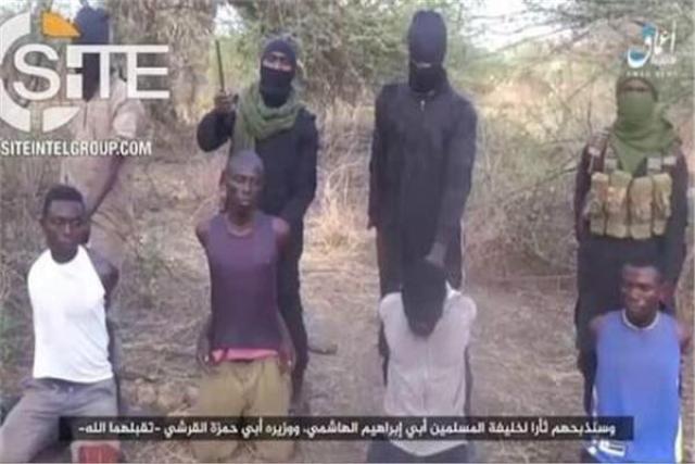 ارشيفية