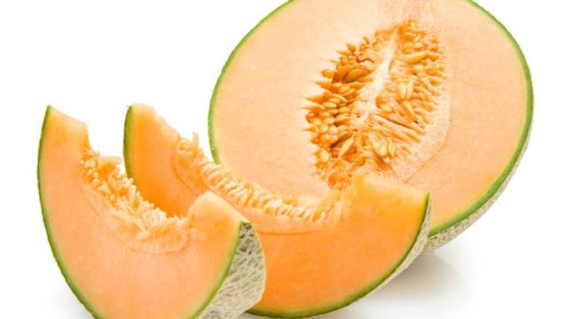 سبق نيوز