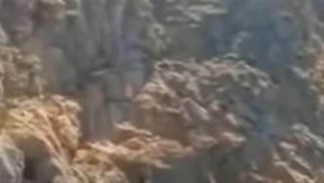 سبق نيوز