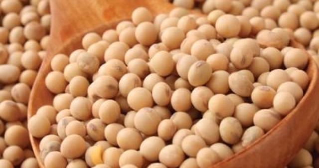 فول صويا - ارشيفية