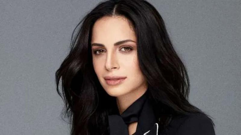 الفنانة أمال ماهر