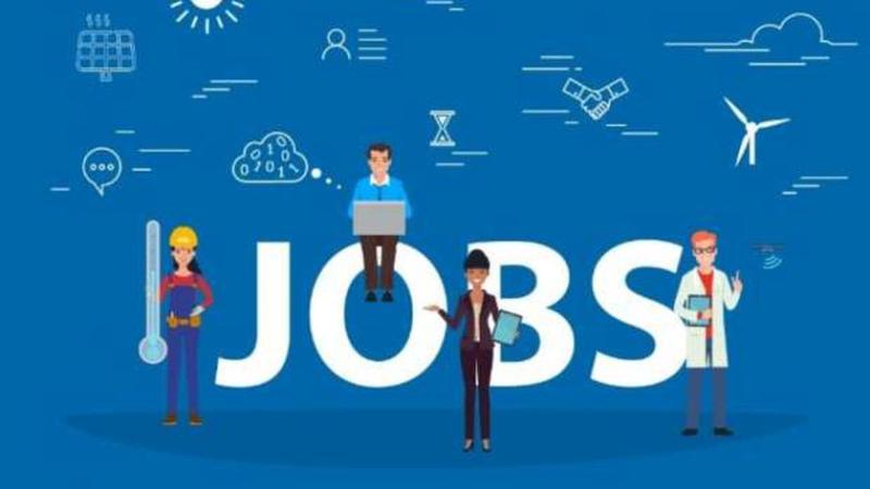 موقع بوابة الوظائف الحكومية