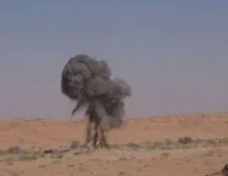 سبق نيوز