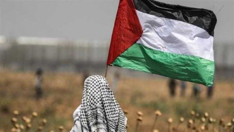 8 دول عربية ترشح خبراء بالقانون لدعم الجهد الفلسطيني بأطر العدالة الدولية
