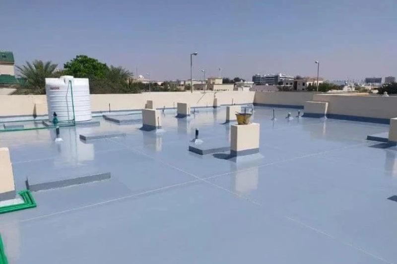 سبق نيوز